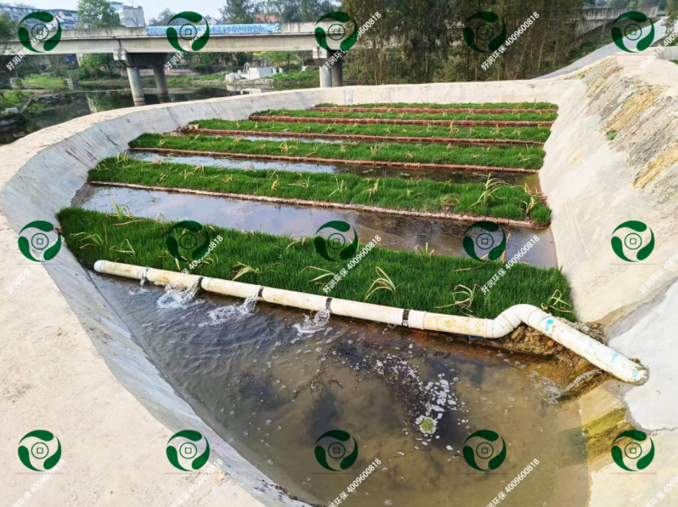 ʪ�ؾ�����