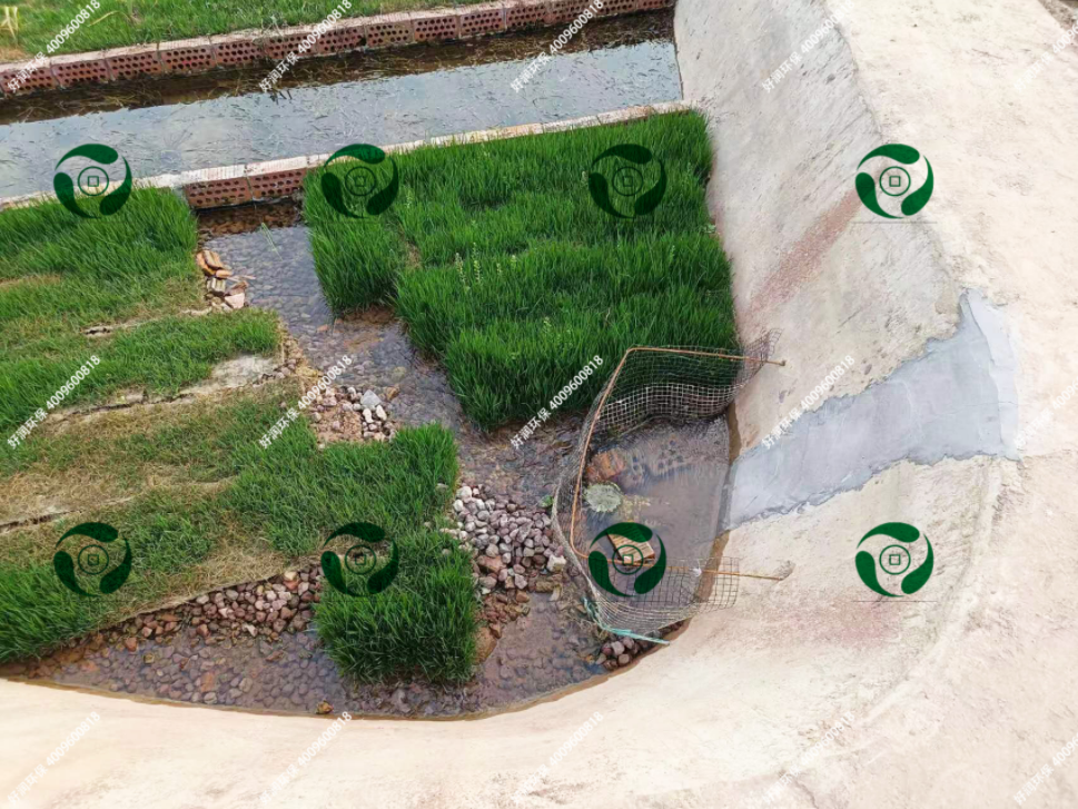 <b>��ũ����ˮ�����豸�ķ����Ƕ��٣�</b>