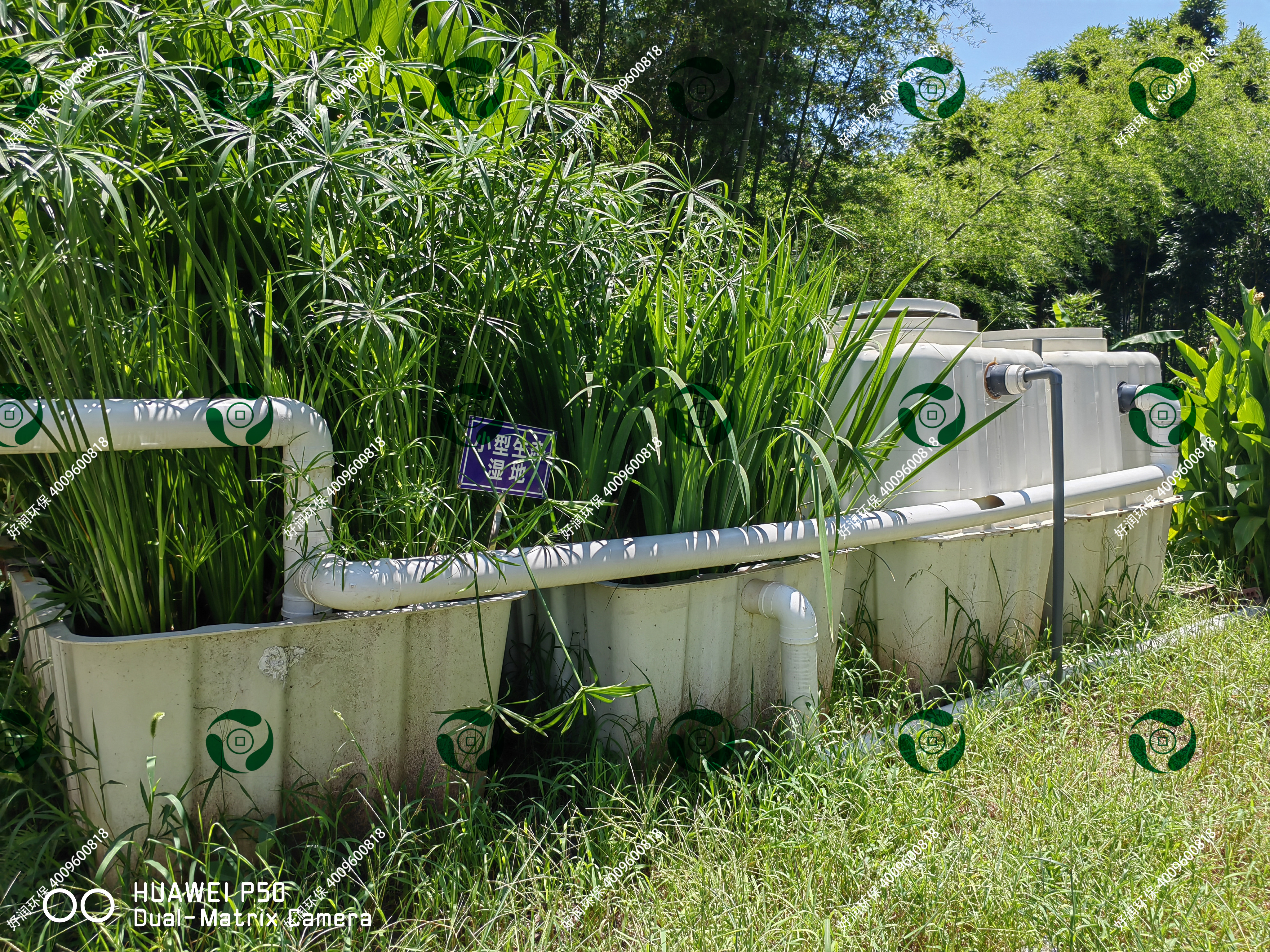 С��ʪ��ģ��